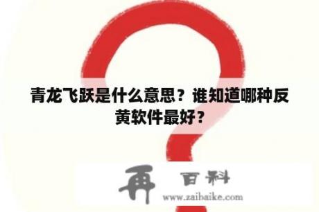 青龙飞跃是什么意思？谁知道哪种反黄软件最好？