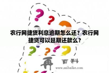 农行网捷贷利息逾期怎么还？农行网捷贷可以延期还款么？