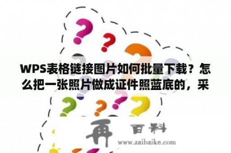 WPS表格链接图片如何批量下载？怎么把一张照片做成证件照蓝底的，采集图像大小为192×144（高×宽）？