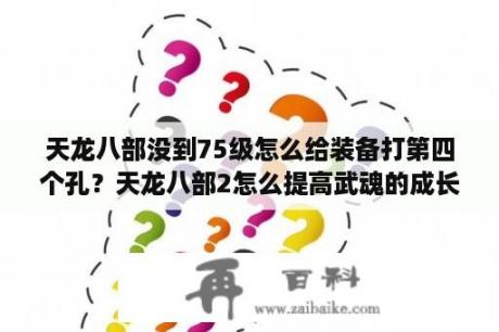 天龙八部没到75级怎么给装备打第四个孔？天龙八部2怎么提高武魂的成长率？