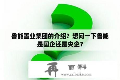 鲁能置业集团的介绍？想问一下鲁能是国企还是央企？