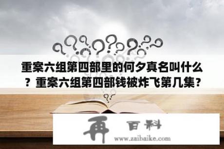 重案六组第四部里的何夕真名叫什么？重案六组第四部钱被炸飞第几集？