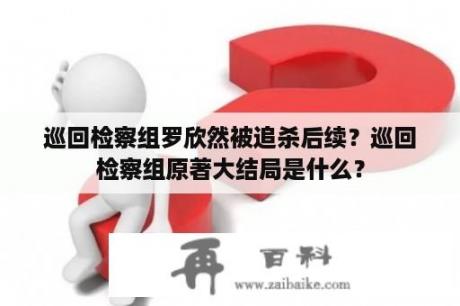 巡回检察组罗欣然被追杀后续？巡回检察组原著大结局是什么？