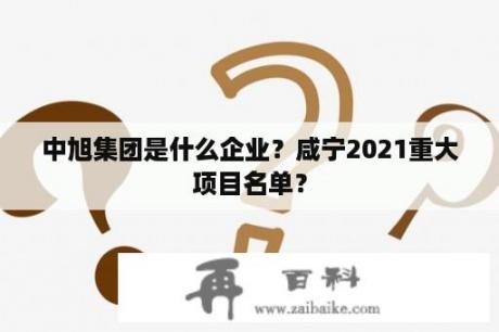 中旭集团是什么企业？咸宁2021重大项目名单？