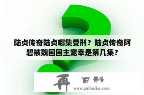 陆贞传奇陆贞哪集受刑？陆贞传奇阿碧被魏国国主宠幸是第几集？