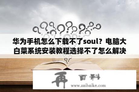 华为手机怎么下载不了soul？电脑大白菜系统安装教程选择不了怎么解决？