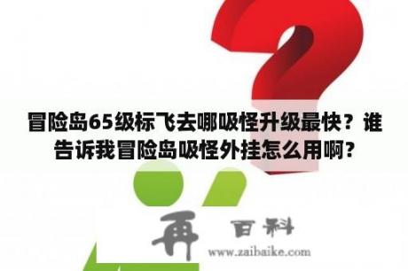 冒险岛65级标飞去哪吸怪升级最快？谁告诉我冒险岛吸怪外挂怎么用啊？