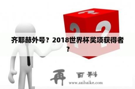 齐耶赫外号？2018世界杯奖项获得者？