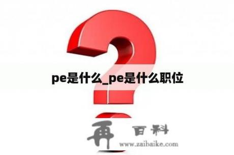 pe是什么_pe是什么职位