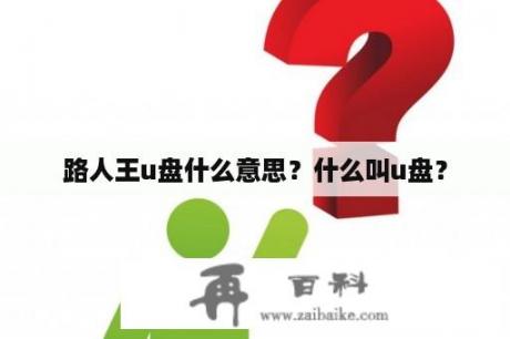 路人王u盘什么意思？什么叫u盘？