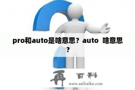 pro和auto是啥意思？auto  啥意思？