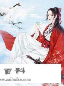 女扮男装或男扮女装的小说，有哪些推举？另1种绚烂生活01集