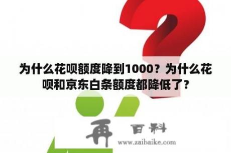 为什么花呗额度降到1000？为什么花呗和京东白条额度都降低了？