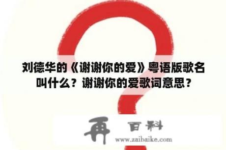 刘德华的《谢谢你的爱》粤语版歌名叫什么？谢谢你的爱歌词意思？