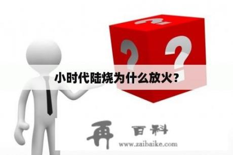 小时代陆烧为什么放火？