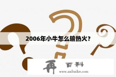 2006年小牛怎么输热火？