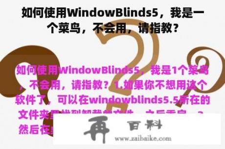 如何使用WindowBlinds5，我是一个菜鸟，不会用，请指教？