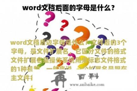 word文档后面的字母是什么？