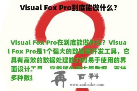 Visual Fox Pro到底能做什么？