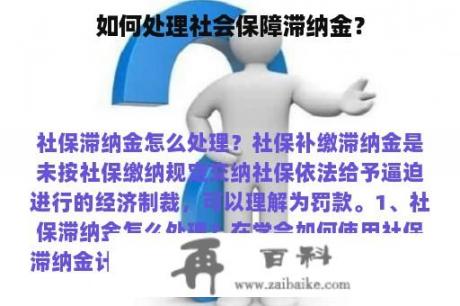 如何处理社会保障滞纳金？