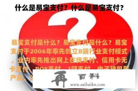 什么是易宝支付？什么是易宝支付？