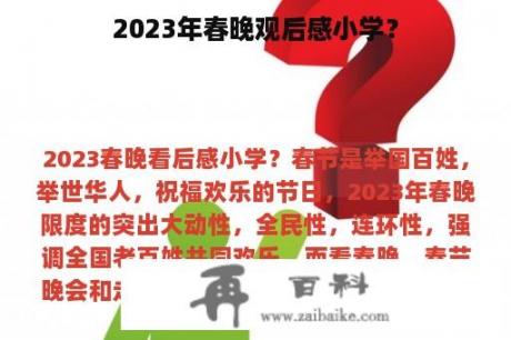 2023年春晚观后感小学？