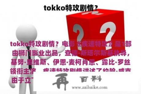 tokko特攻剧情？