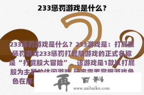 233惩罚游戏是什么？