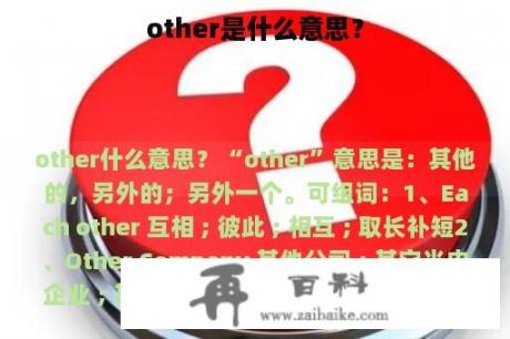 other是什么意思？