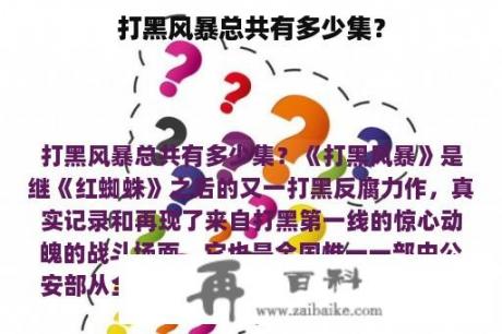 打黑风暴总共有多少集？