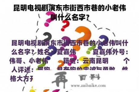 昆明电视剧演东市街西市巷的小老伟叫什么名字？