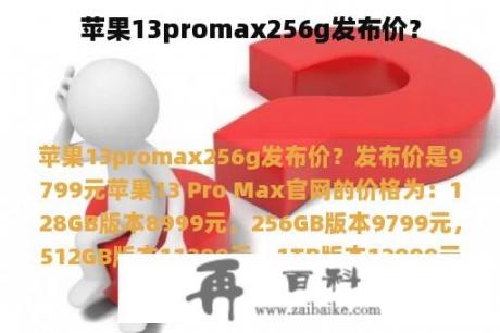 苹果13promax256g发布价？