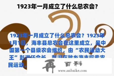 1923年一月成立了什么总农会？