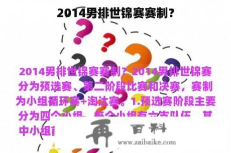 2014男排世锦赛赛制？