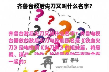 齐鲁台敌后尖刀又叫什么名字？