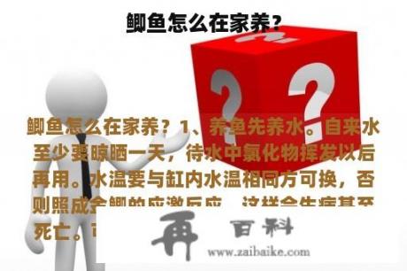 鲫鱼怎么在家养？