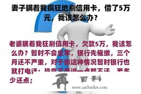 妻子瞒着我疯狂地刷信用卡，借了5万元，我该怎么办？