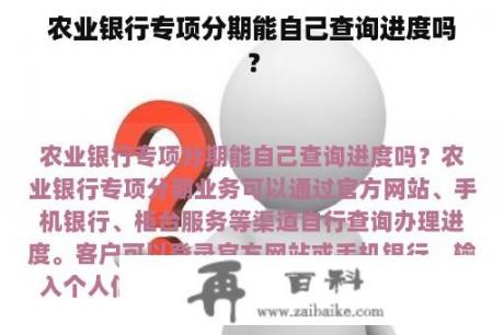 农业银行专项分期能自己查询进度吗？