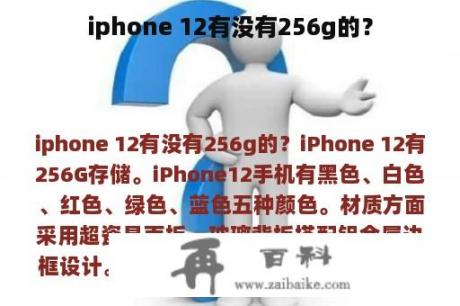 iphone 12有没有256g的？