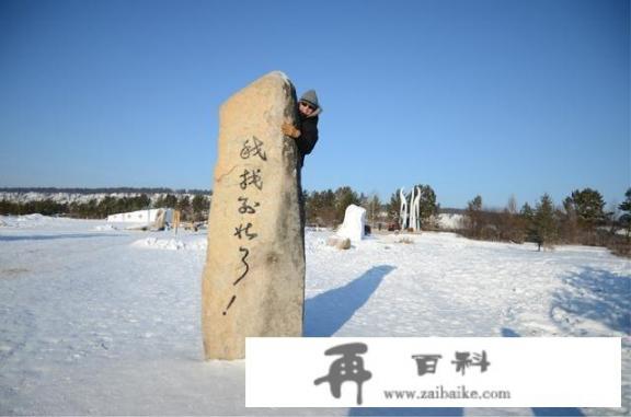 我们全家要到漠河北极村旅游，请问各位住宿在哪家好呀？