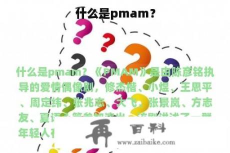 什么是pmam？