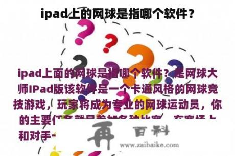 ipad上的网球是指哪个软件？