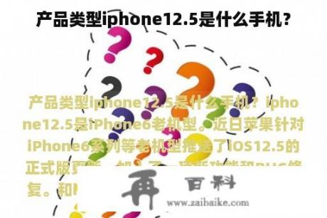 产品类型iphone12.5是什么手机？