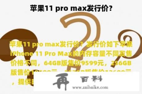 苹果11 pro max发行价？