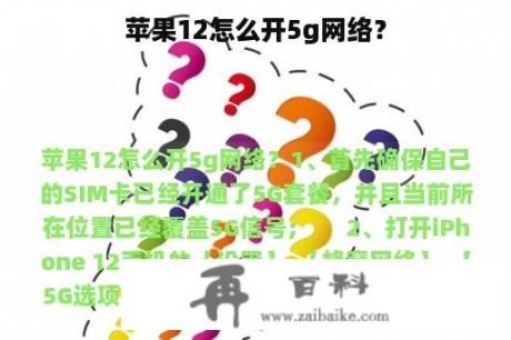 苹果12怎么开5g网络？