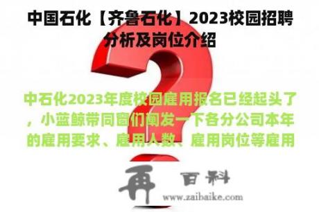 中国石化【齐鲁石化】2023校园招聘分析及岗位介绍