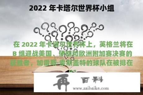 2022 年卡塔尔世界杯小组