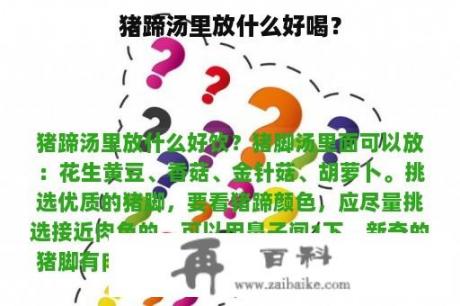 猪蹄汤里放什么好喝？