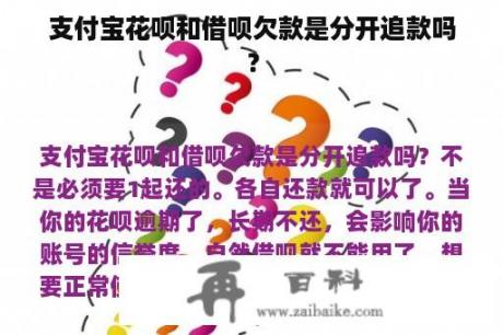 支付宝花呗和借呗欠款是分开追款吗？