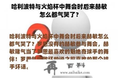 哈利波特与火焰杯中舞会时后来赫敏怎么都气哭了？